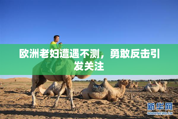 欧洲老妇遭遇不测，勇敢反击引发关注