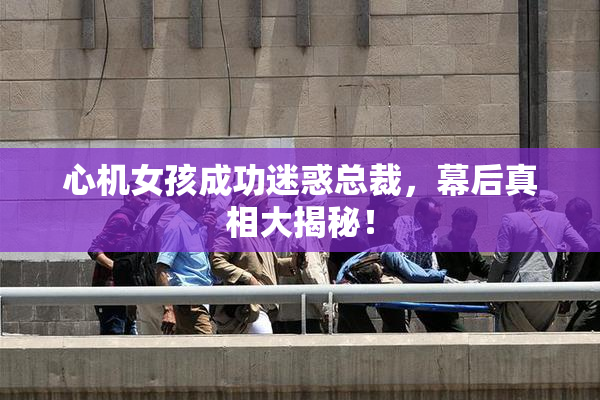 心机女孩成功迷惑总裁，幕后真相大揭秘！