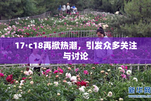 17·c18再掀热潮，引发众多关注与讨论