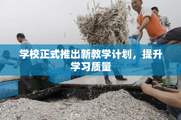 学校正式推出新教学计划，提升学习质量
