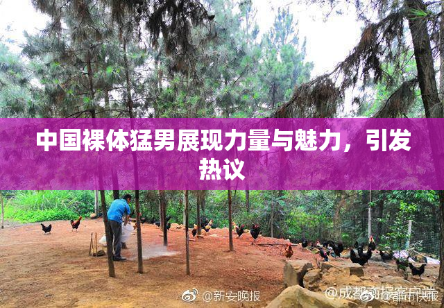 中国裸体猛男展现力量与魅力，引发热议