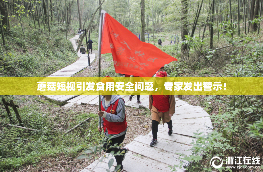 蘑菇短视引发食用安全问题，专家发出警示！