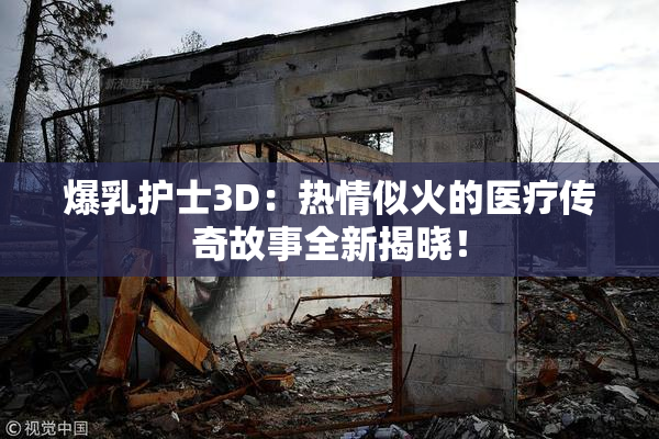 爆乳护士3D：热情似火的医疗传奇故事全新揭晓！