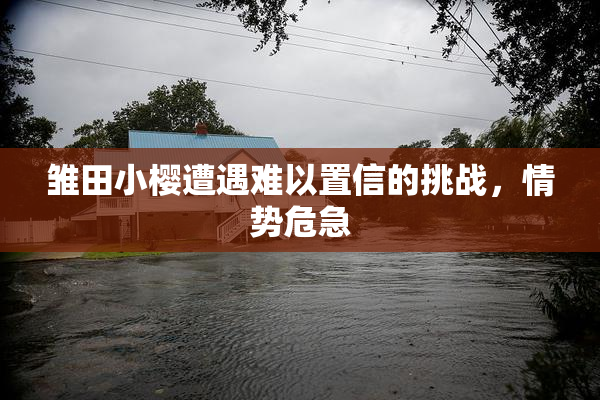 雏田小樱遭遇难以置信的挑战，情势危急