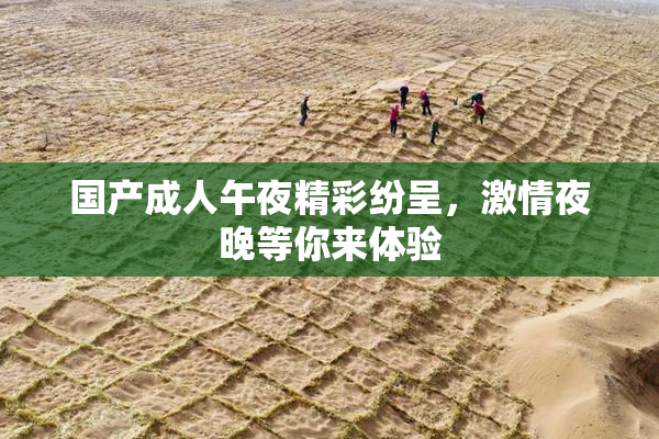 国产成人午夜精彩纷呈，激情夜晚等你来体验