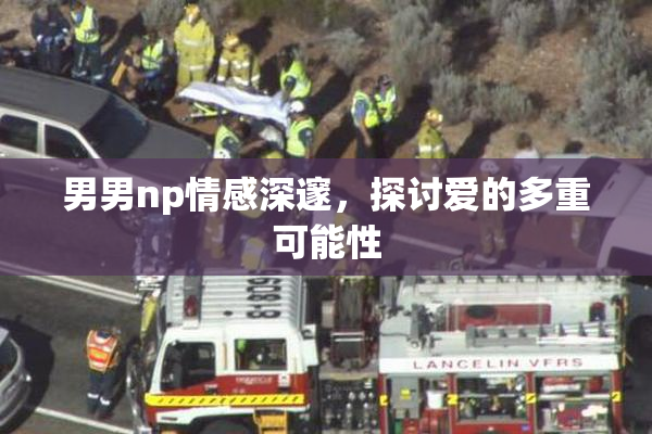 男男np情感深邃，探讨爱的多重可能性