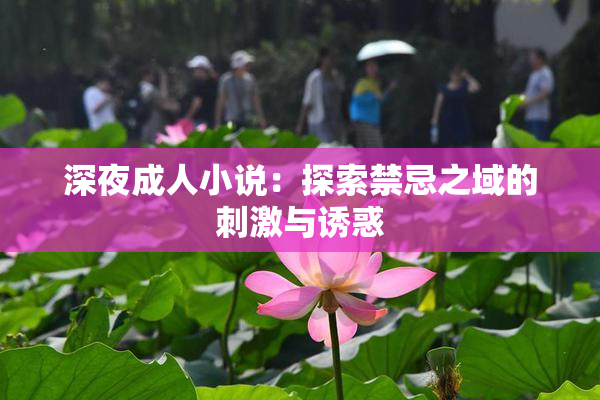深夜成人小说：探索禁忌之域的刺激与诱惑