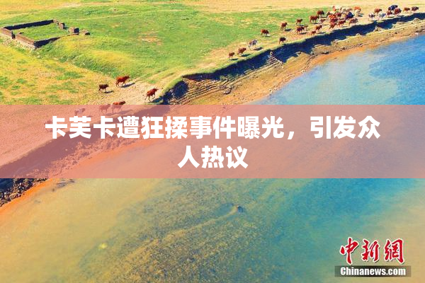 卡芙卡遭狂揉事件曝光，引发众人热议