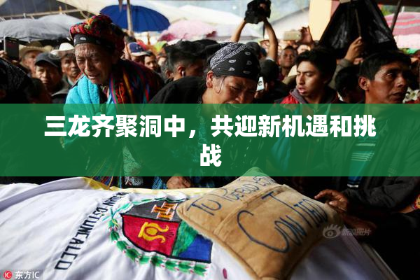 三龙齐聚洞中，共迎新机遇和挑战