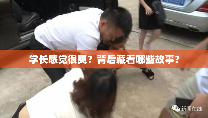 学长感觉很爽？背后藏着哪些故事？