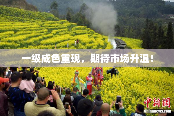 一级成色重现，期待市场升温！
