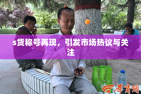 s货称号再现，引发市场热议与关注