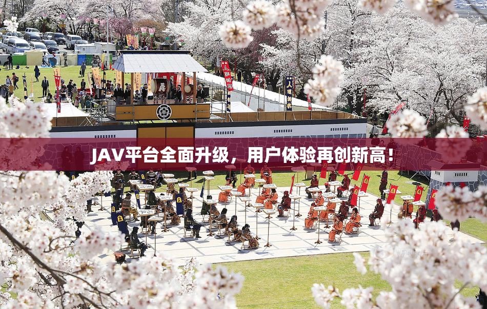 JAV平台全面升级，用户体验再创新高！