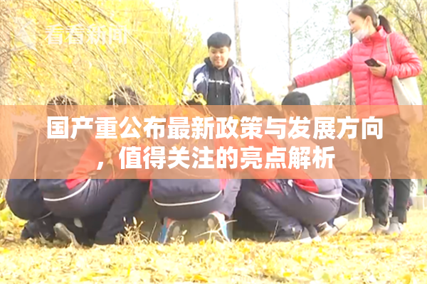 国产重公布最新政策与发展方向，值得关注的亮点解析