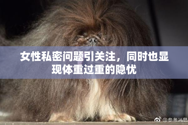 女性私密问题引关注，同时也显现体重过重的隐忧