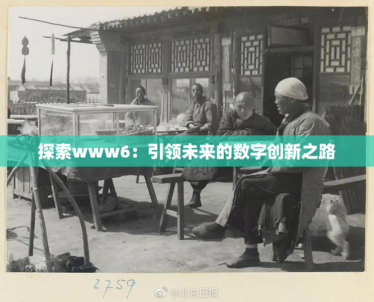 探索www6：引领未来的数字创新之路