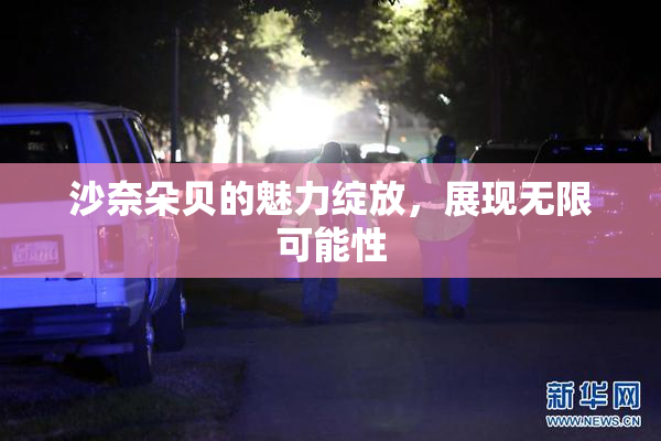 沙奈朵贝的魅力绽放，展现无限可能性
