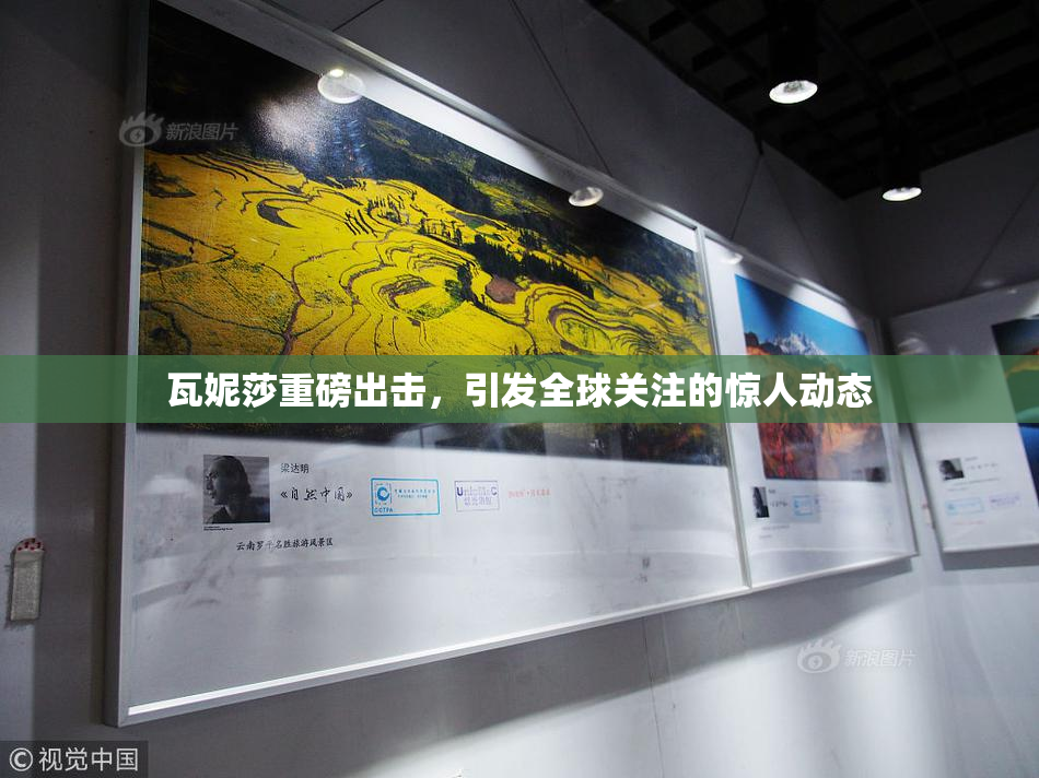 瓦妮莎重磅出击，引发全球关注的惊人动态