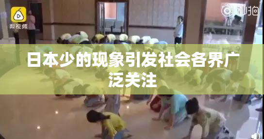 日本少的现象引发社会各界广泛关注