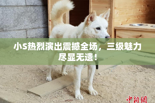 小S热烈演出震撼全场，三级魅力尽显无遗！