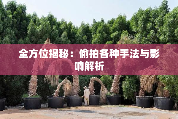 全方位揭秘：偷拍各种手法与影响解析
