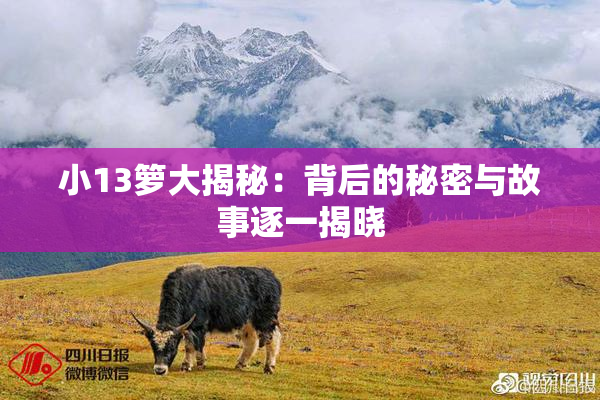 小13箩大揭秘：背后的秘密与故事逐一揭晓