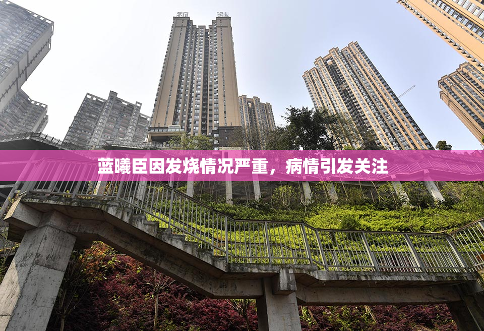 蓝曦臣因发烧情况严重，病情引发关注