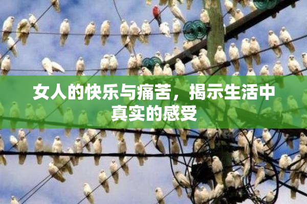 女人的快乐与痛苦，揭示生活中真实的感受