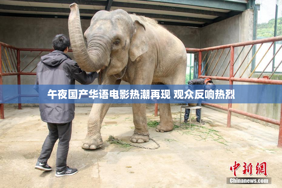 午夜国产华语电影热潮再现 观众反响热烈