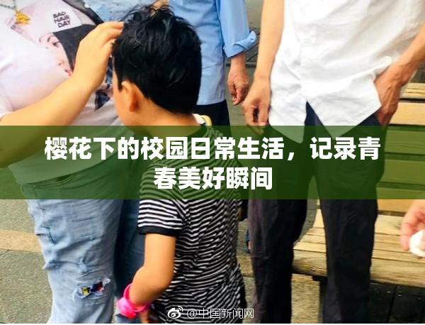 樱花下的校园日常生活，记录青春美好瞬间