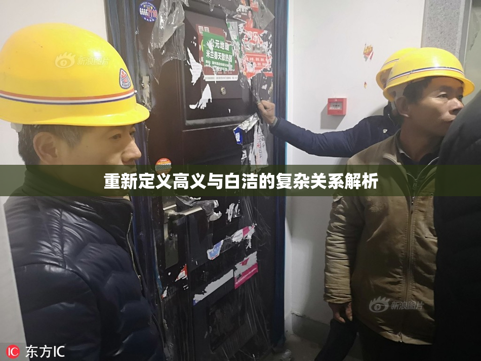 重新定义高义与白洁的复杂关系解析