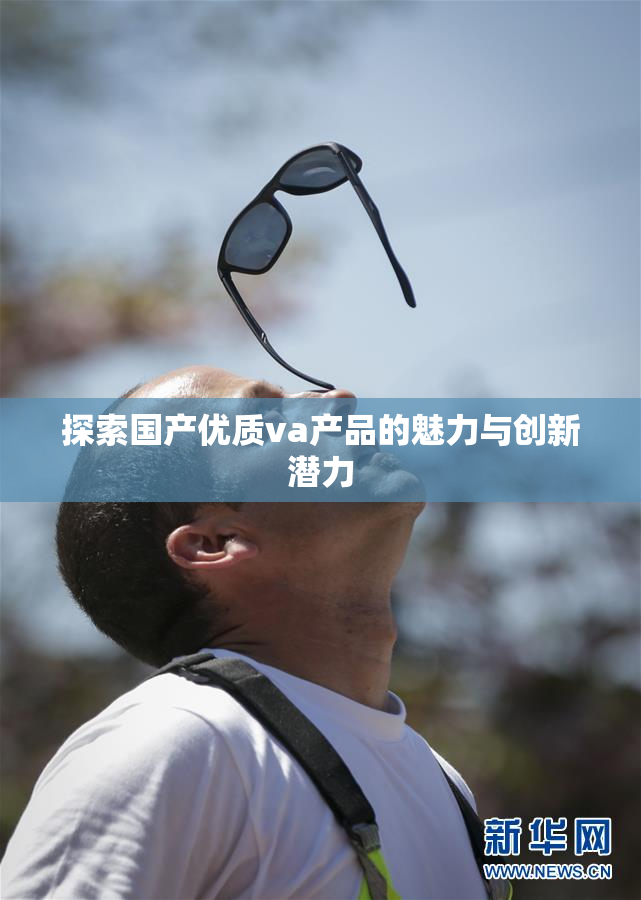 探索国产优质va产品的魅力与创新潜力