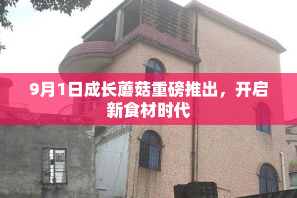 9月1日成长蘑菇重磅推出，开启新食材时代