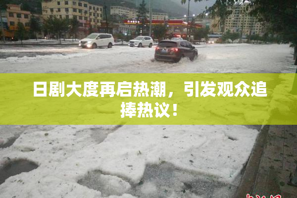 日剧大度再启热潮，引发观众追捧热议！