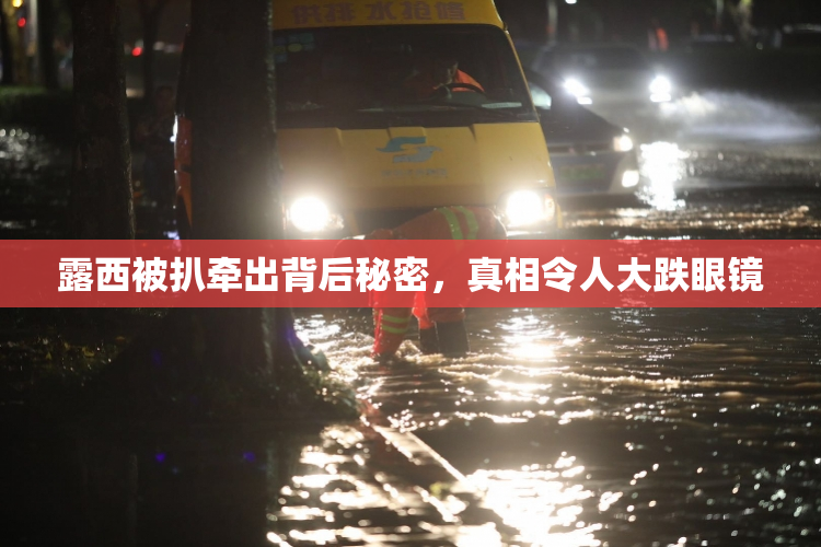 露西被扒牵出背后秘密，真相令人大跌眼镜
