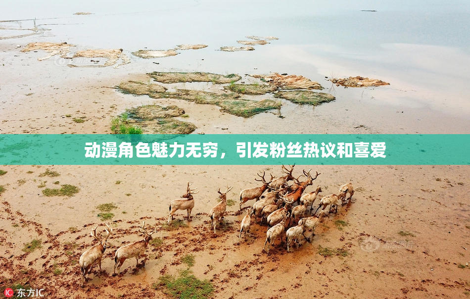 动漫角色魅力无穷，引发粉丝热议和喜爱