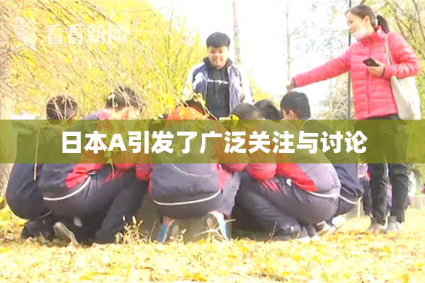 日本A引发了广泛关注与讨论