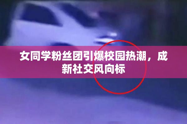 女同学粉丝团引爆校园热潮，成新社交风向标