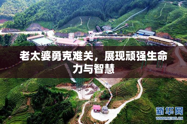 老太婆勇克难关，展现顽强生命力与智慧