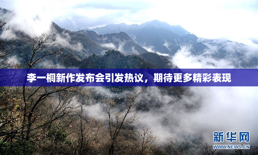 李一桐新作发布会引发热议，期待更多精彩表现