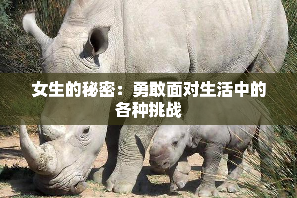 女生的秘密：勇敢面对生活中的各种挑战