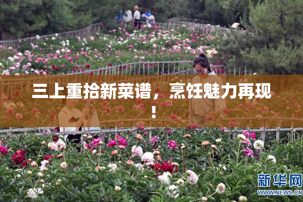 三上重拾新菜谱，烹饪魅力再现！