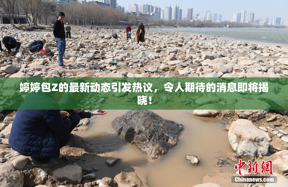 婷婷包Z的最新动态引发热议，令人期待的消息即将揭晓！