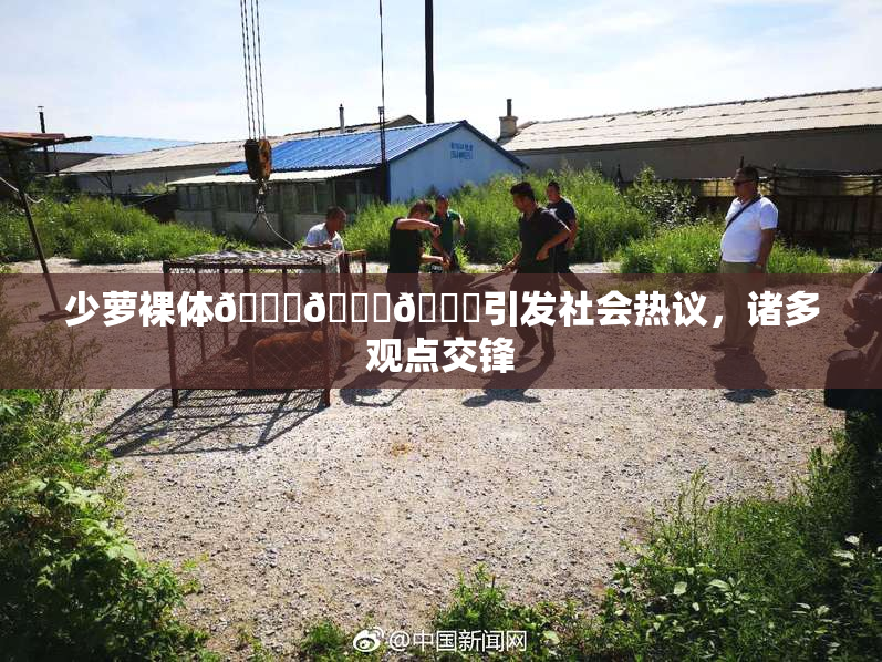 少萝裸体🔞🔞🔞引发社会热议，诸多观点交锋