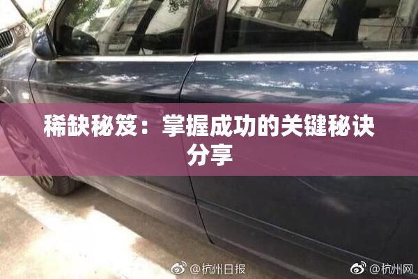 稀缺秘笈：掌握成功的关键秘诀分享