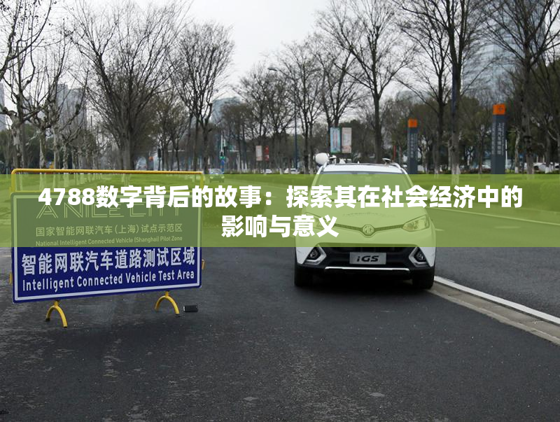 4788数字背后的故事：探索其在社会经济中的影响与意义