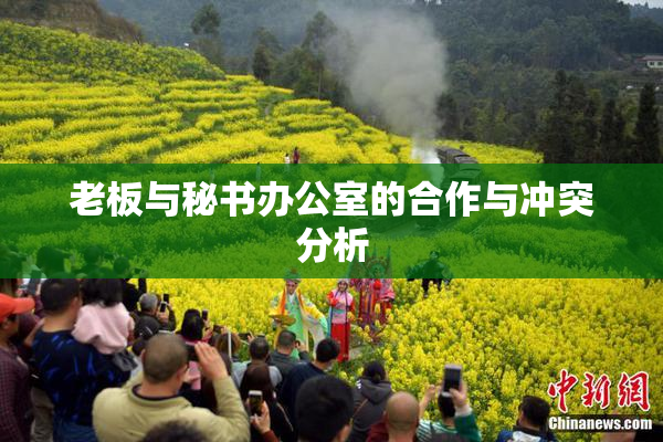 老板与秘书办公室的合作与冲突分析