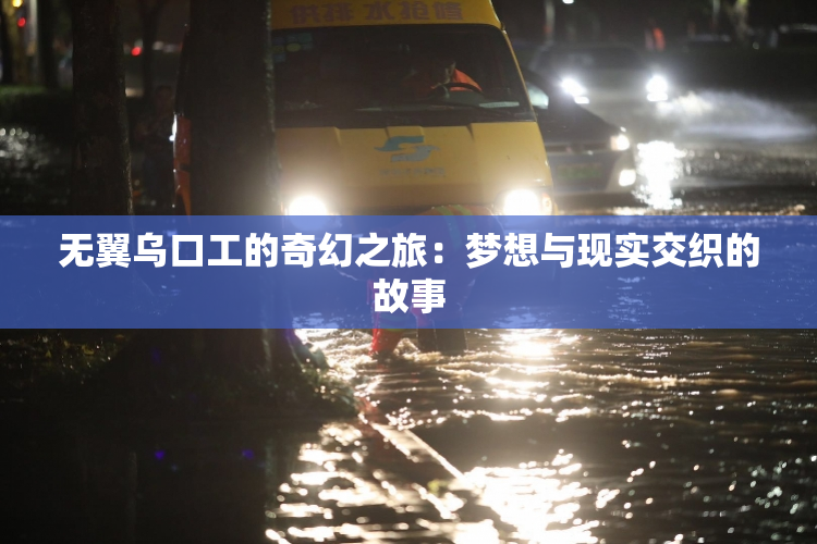 无翼乌口工的奇幻之旅：梦想与现实交织的故事