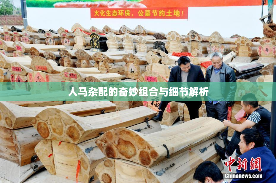 人马杂配的奇妙组合与细节解析