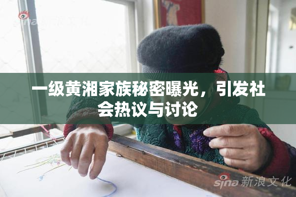 一级黄湘家族秘密曝光，引发社会热议与讨论